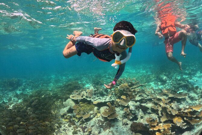 Exclusive Isla Mujeres Tour in Catamaran! Sailing from Cancun - Review Insights: What Travelers Are Saying