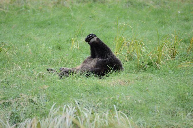 Exclusive Locations Private Bear Viewing - Frequently Asked Questions