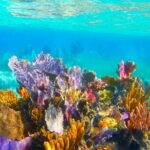 Exclusive Private Boat to El Cielo - The Sum Up