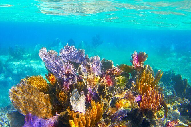 Exclusive Private Boat to El Cielo - The Sum Up