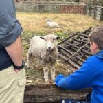 Exclusive Private Colonial Williamsburg Walking Tour by a Local - What’s Included and What to Keep in Mind