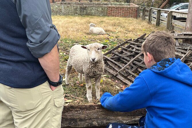 Exclusive Private Colonial Williamsburg Walking Tour by a Local - What’s Included and What to Keep in Mind