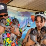 Exclusive Tour in Teotihuacan, Breakfast in the Cave and CDMX pick-up - Analyzing the Value and Practicalities