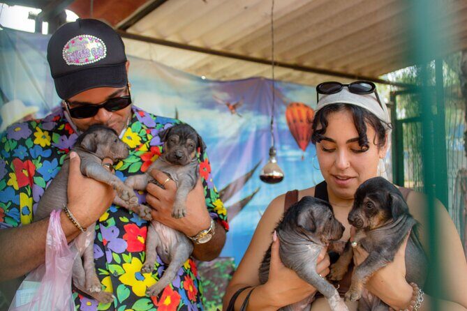 Exclusive Tour in Teotihuacan, Breakfast in the Cave and CDMX pick-up - Analyzing the Value and Practicalities