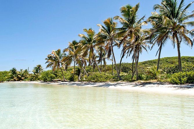 Excursion Isla Contoy & Isla Mujeres from Cancun - Practical Tips for Travelers