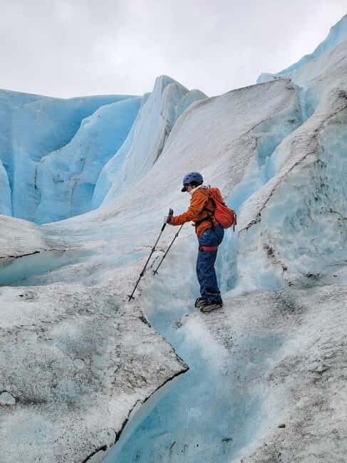 Exit Glacier Ice Hiking Adventure - The Scenic Highlights