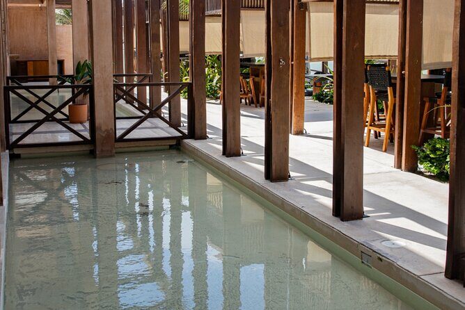 Experience at Telchac Beach and its beach club - What Makes This Tour Stand Out?