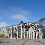 Experience Ottawa Small Group Walking Tour - Analyzing the Value