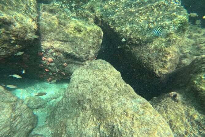 Experience Peanut Island Adventures with Go Pro - What Travelers Say (Based on Available Reviews)