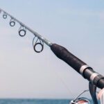 Experience the Exciting Fun of Surf Fishing - Who Should Book This Tour?