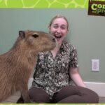 Experience Weekend at Tanganyika Wildlife Park - The Value of the Experience