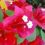 Expert Guided: Chichen Itza Tour with Early Access - Pricing and Value