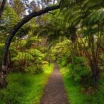 Expert Led Private Guided Tour Hawaii Volcanoes National Park - What Makes This Tour Special