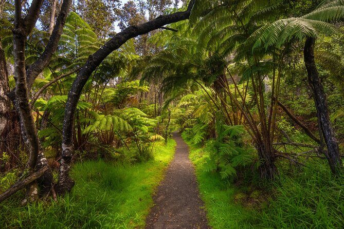 Expert Led Private Guided Tour Hawaii Volcanoes National Park - What Makes This Tour Special