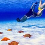 Exploration to El Cielo and Reefs: Live up close with stars - The Sum Up