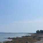 Explore Acadia with Ease Premium E-bike Rentals and Free Delivery - Who Will Love This Experience?