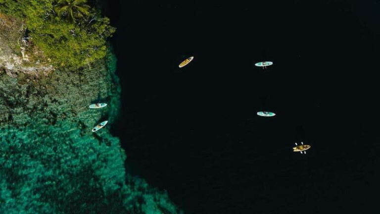 Explore Bacalar Lagoon by Kayak: Full Day Rental - The Practical Side