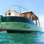 Explore Banderas Bay: Exclusive Boat Journies - Price and Value: Is It Worth It?