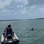 Explore Hidden Islands and Dolphins Jet Ski Adventure - Wildlife Watching and Scenic Highlights