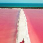 Explore Las Coloradas & Rio Lagartos from Riviera Maya - Who Should Consider This Tour?
