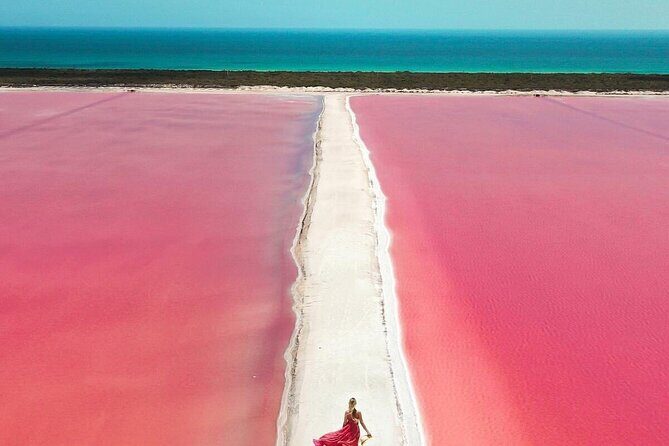 Explore Las Coloradas & Rio Lagartos from Riviera Maya - Who Should Consider This Tour?