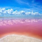 Explore Las Coloradas & Rio Lagartos, Full Day only from Tulum - The Cultural and Culinary Experience