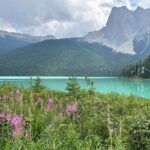 Explore Like Local with a Local and Private Car Rockies Day Tour - Practicalities and Value