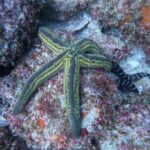 Explore Los Arcos and Playa - Overview of the Experience