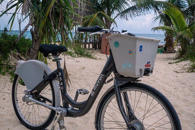 Explore Paradise on Wheels: Bike Rentals in Playa del Carmen - The Reality Check from Reviews