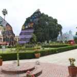 Explore the Essence of Oaxaca Tour to Hierve Water - Who Is This Tour Best For?