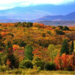 Explore the Full Cabot Trail: World Famous Trail - What Travelers Say