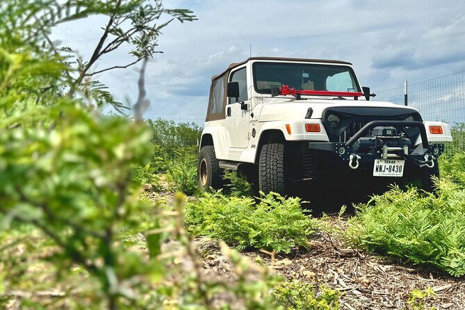 Explore the Medina River Valley on a Rugged Jeep with a Guide - Who Should Consider This Tour?