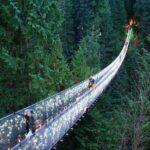 Explore Vancouver City & Capilano Suspension Bridge Canyon Lights - Authentic Traveler Sentiments