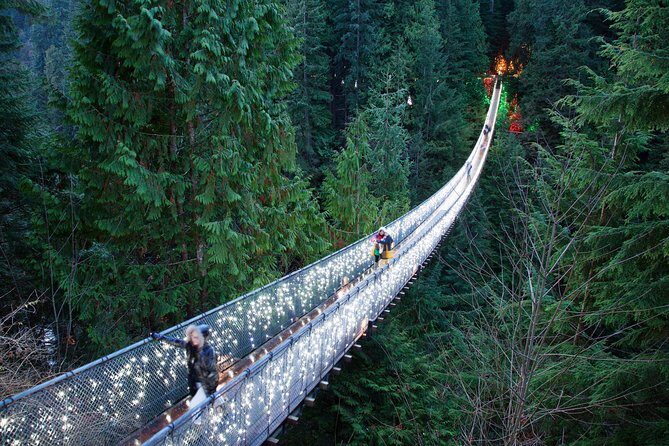 Explore Vancouver City & Capilano Suspension Bridge Canyon Lights - Authentic Traveler Sentiments