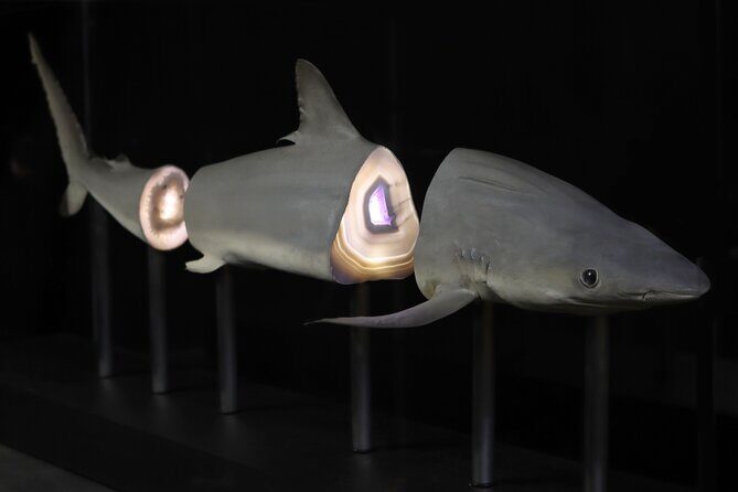 Exquisite Creatures Exhibit By Christopher Marley - The Sum Up: Who Should Visit?