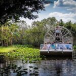 Extreme Everglades: Crocodiles and Adventure from Miami - What Makes This Tour Stand Out?