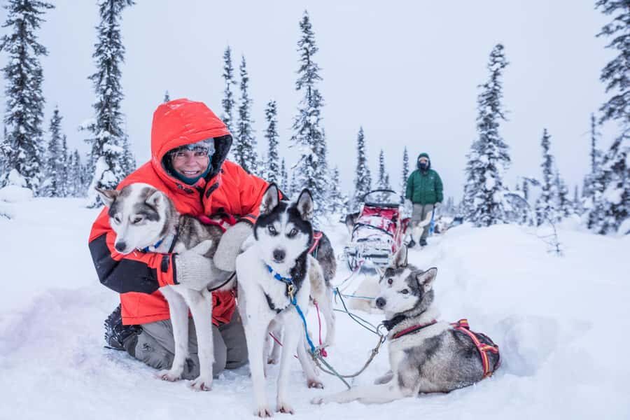 Fairbanks, AK: Half Day "Drive your Own Dog Team" Tour - FAQ