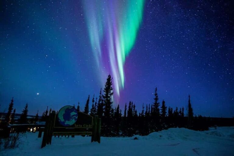 Fairbanks: Northern Lights & Arctic Circle Tour - The Itinerary: What Youll Experience