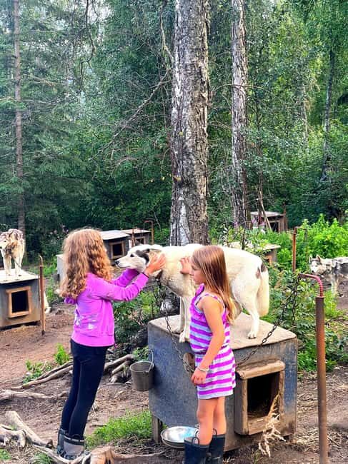 Fairbanks: Siberian Husky Kennel Tour - Why This Tour Works — or Doesn’t