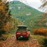 Fall Adventure Vancouver Island Grizzly Bears, High Tea and More - The Sum Up: Is This Tour Right for You?