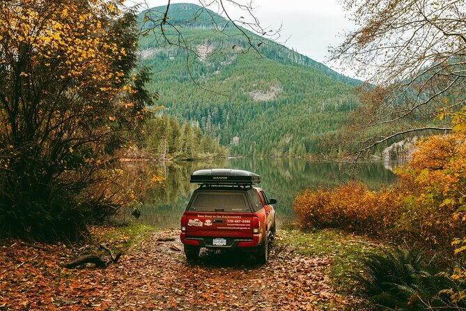 Fall Adventure Vancouver Island Grizzly Bears, High Tea and More - The Sum Up: Is This Tour Right for You?