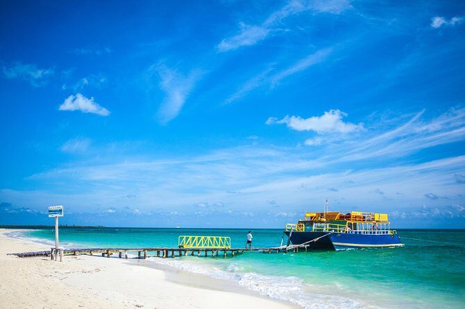 Fall in love with the Holbox island tour, Punta Mosquito & lunch. - Real Traveler Feedback and Insights