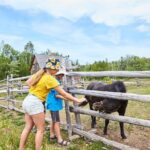 Family visit to the Acadian Historic Village - The Bottom Line