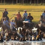 Famous Chincoteague Island Pony Swim Boat and Jet Ski Rentals - Final Thoughts