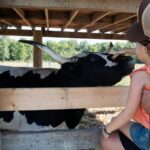 Farm Visit With Mini Domestic Animals - The Value of the Experience