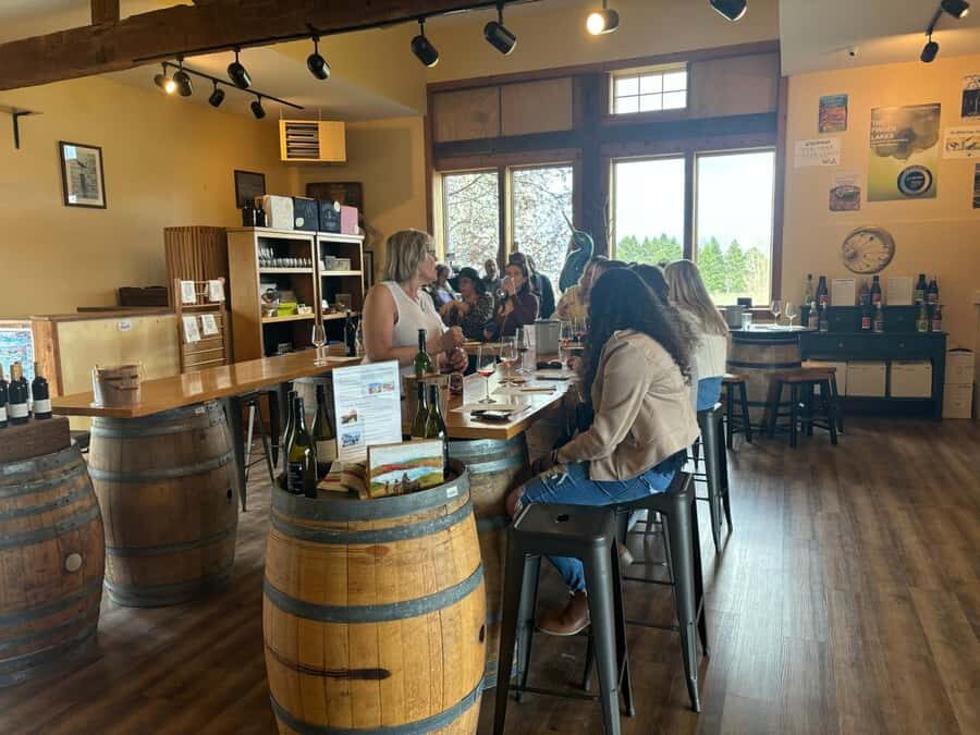 Farmington: Canandaigua Lake Wine Tasting Tour - Who Will Love This Tour?
