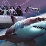 Field Museum Basic Admission Ticket Plus VR Experience - The Sum Up