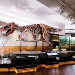 Field Museum Basic Admission Ticket with Tasting Experience - Final Thoughts