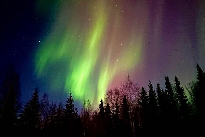 Fire & Ice: Chena Hot Springs, Ice Museum + Aurora Adventure - The Value of This Tour