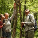 Firefly Sanctuary Tour in Puebla - Concluding Thoughts